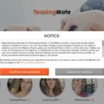 teasingmate.com